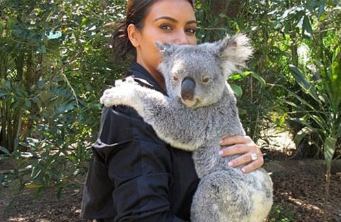 Ким не удержалась и взяла на ручки коалу