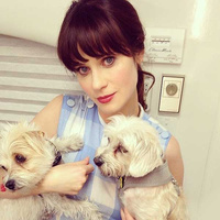 Зои Дешанель Zooey Deschanel