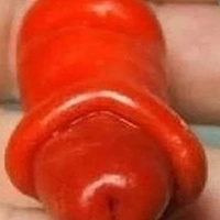 Аватарка Недотрога