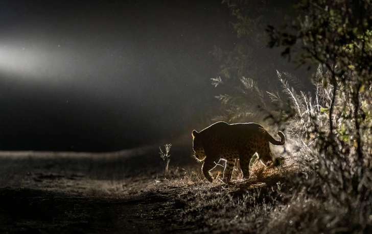 Источник: Clintralph_sa / Caters News via Legion Media