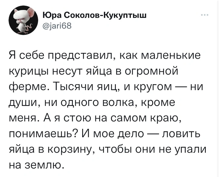 Шутки понедельника и котёнок Эмбер