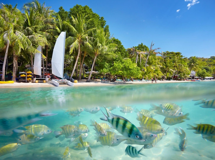 Источник: Jan Wlodarczyk / Alamy