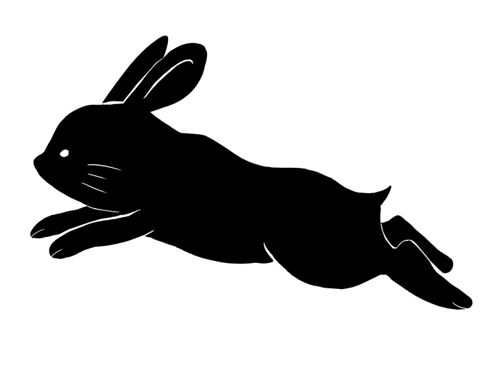 Какие желания может исполнить Черный Водяной Кролик в 2023 году — загадывайте их правильно