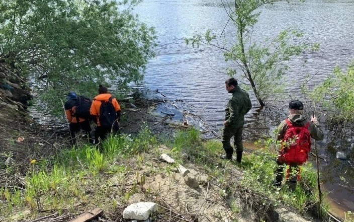 В пригороде Тюмени нашли расчлененное тело младенца. Подозревают мать