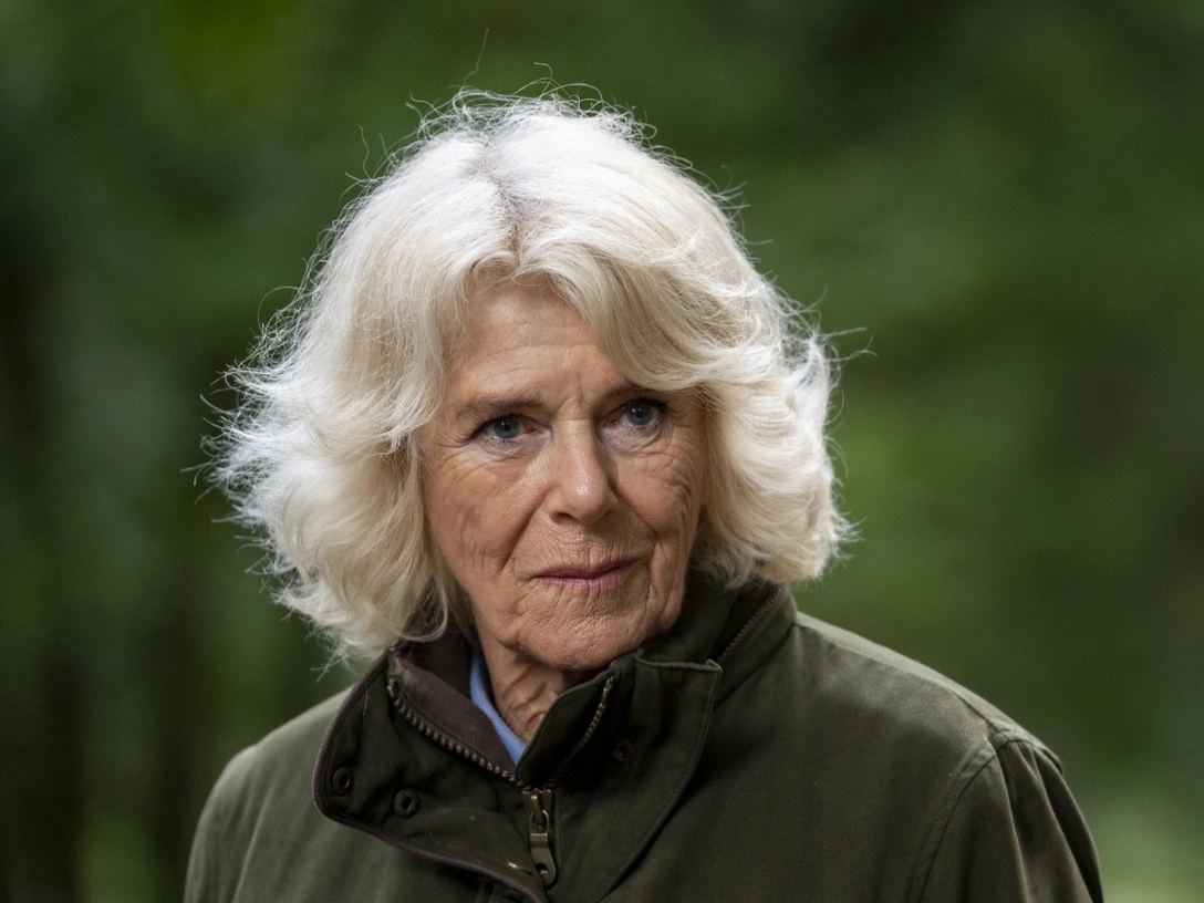 Герцогиня Корнуольская, 26 октября 2020 | marieclaire.ru