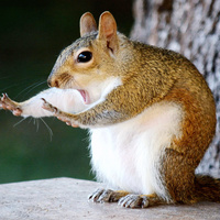 Аватарка Наталья