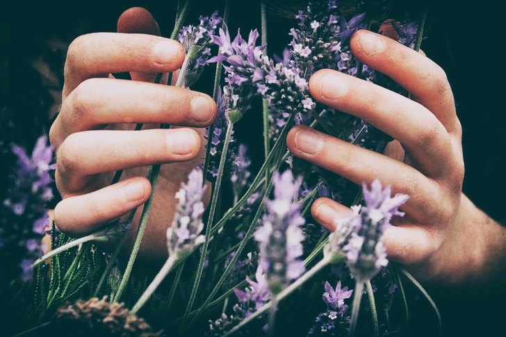 Источник: Vero Manrique/Unsplash