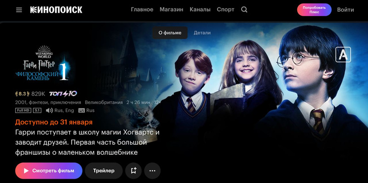 Авада Кедавра: названа дата, когда «Гарри Поттер» и «Фантастические твари» исчезнут из онлайн-кинотеатров в России 💔