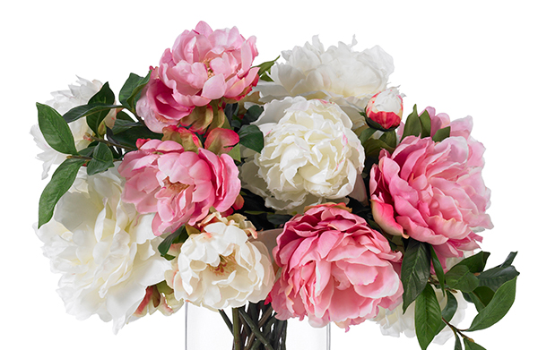 Гвоздика, роза и тюльпан: что расскажет о вас любимый цветок