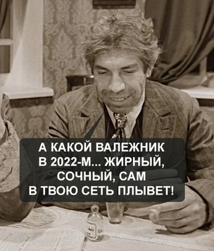 9 хороших событий 2022 года