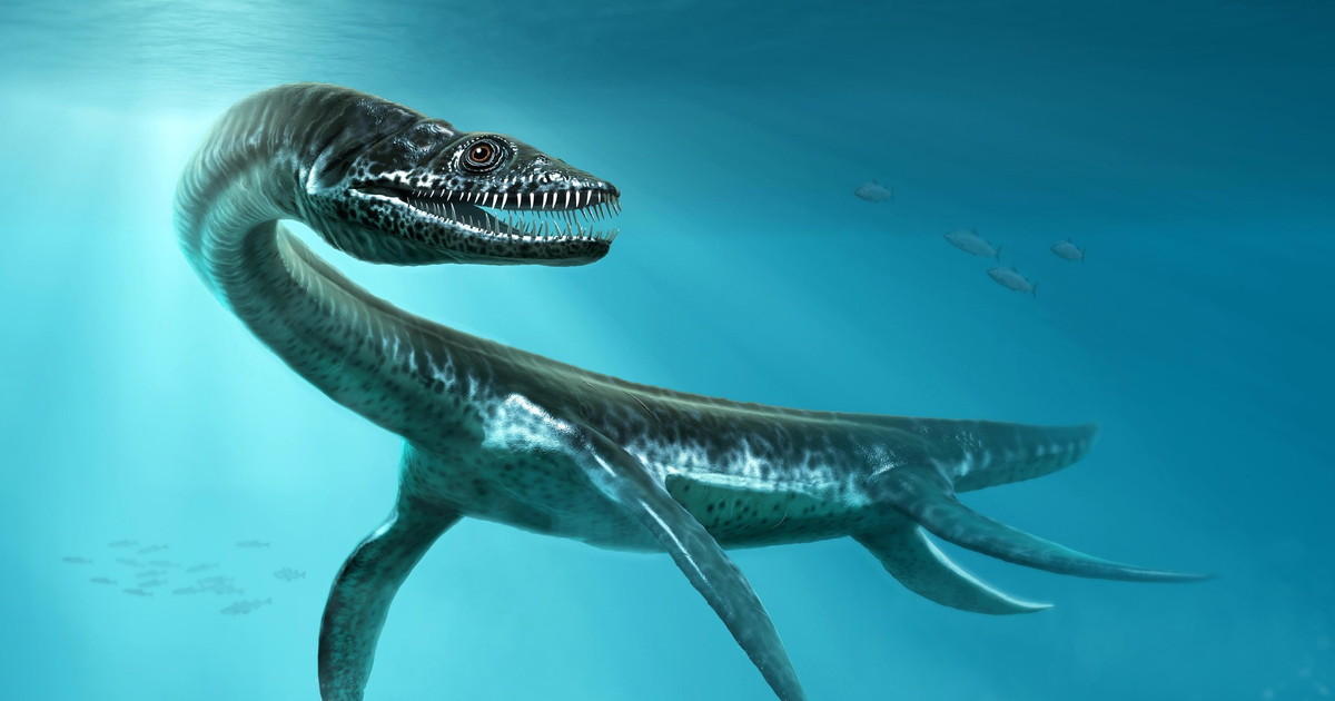 Динозавры морские Плезиозавр. Длинношеие плезиозавры. Реликтовый Плезиозавр. Плезиозавр мезозой.