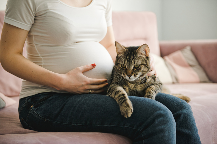 токсоплазмоз и беременность