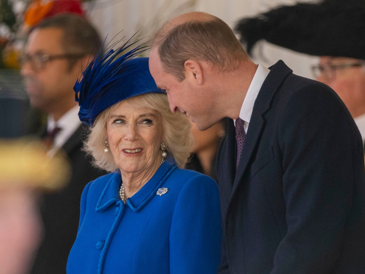Мачеха и сын: самый забавный момент между принцем Уильямом и королевой Камиллой — так выглядит настоящая семья