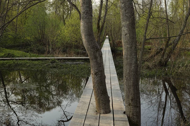 Парк по проекту Александра Бродского в арт-усадьбе Веретьево