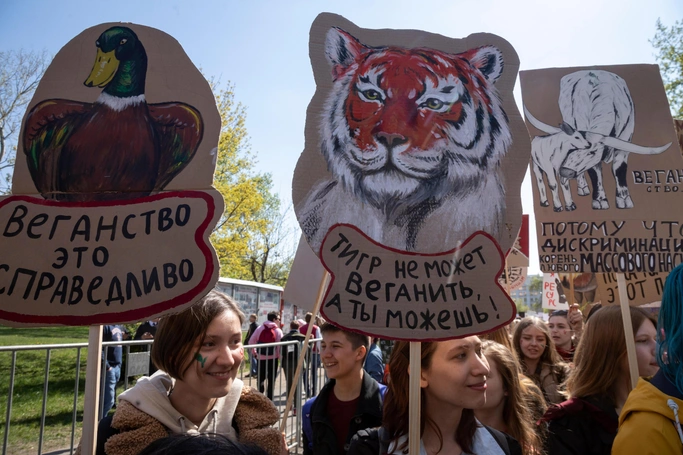 Испытание для мясоеда: 8 каверзных вопросов о веганах