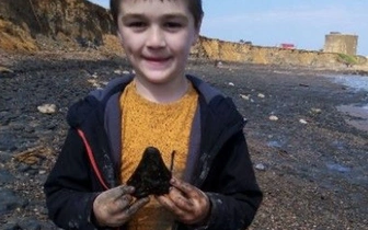 Мечта любителей динозавров: 6-летний британец нашел на берегу моря клык мегалодона