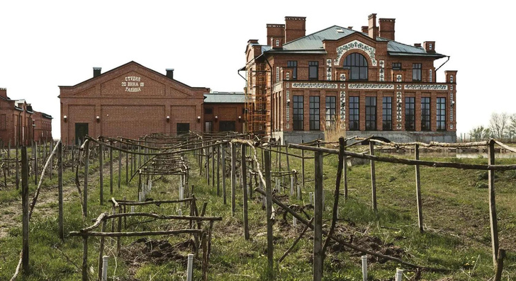 Ростовская область: гид по винодельням края