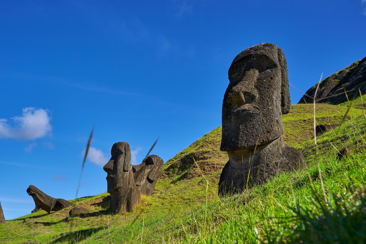«Мы думали, что знаем уже всех»: на острове Пасхи нашли еще одну каменную статую