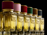 Эксклюзивные ароматы Velvet Collection, Dolce & Gabbana