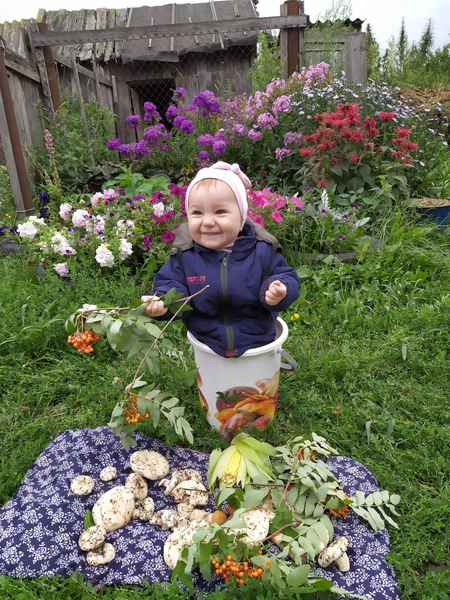 Детский фотоконкурс «Лесные приключения»: выбираем лучшие снимки