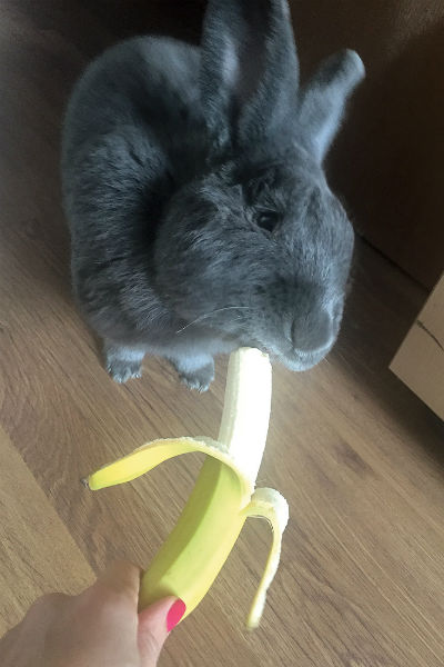 Обожаю полакомиться бананом