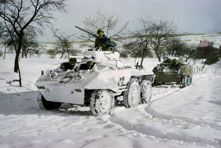 Короли перевоплощения: 17 шедевров военной маскировки