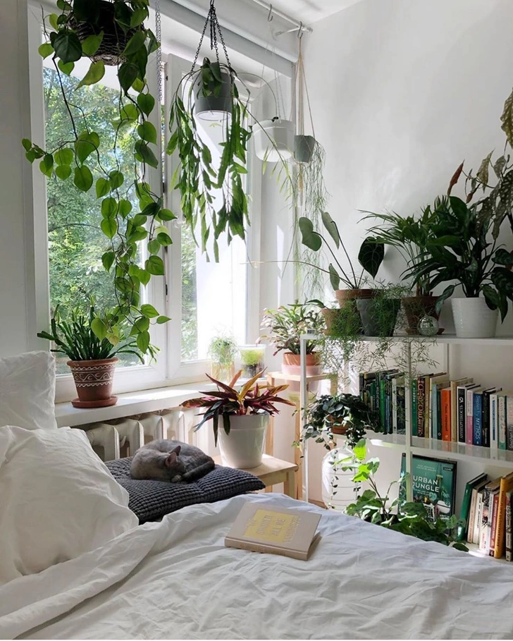 Источник: urbanjungleblog