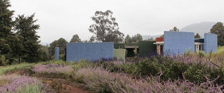 Берлинская студия Other Spaces проектирует кампус мемориального парка Адис-Абебы