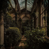 Аватарка Mort