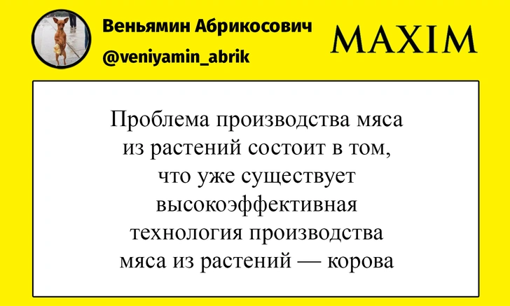 Шутки понедельника и когда русские едят хинкали | maximonline.ru