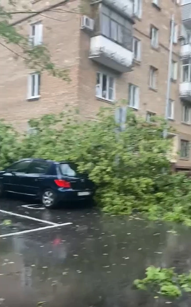 Град выпал размером с ладонь, а ливень затопил метро. В Москве творится апокалипсис