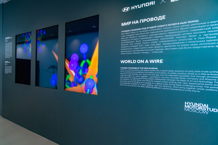 Фото №4 - В пространстве Hyundai Motorstudio в Москве открылась выставка современного цифрового искусства «Мир на проводе»