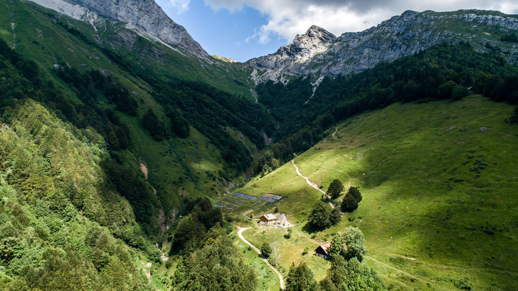 Eco-ELLE: как выглядит биоферма Clarins в Альпах