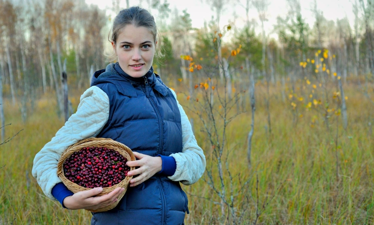 клюква, брусника, заготовка | Источник: iStockphoto/USO
