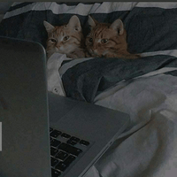 Аватарка Wolfangst