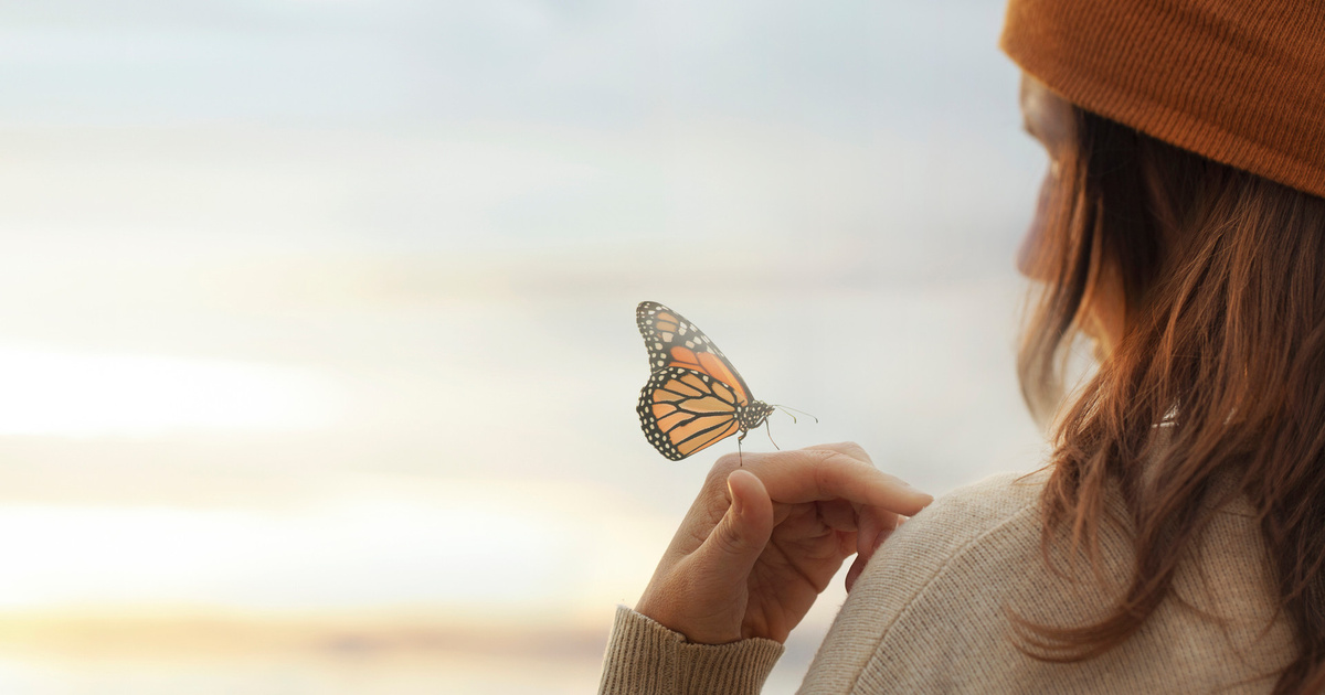 Тест: легкий или тяжелый — какой у вас уровень кармы? | WDAY