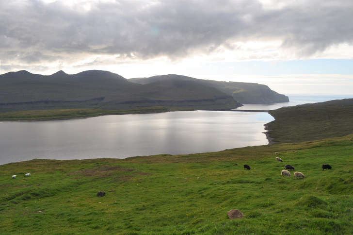 Ученые выяснили, когда люди добрались до Фарерских островов