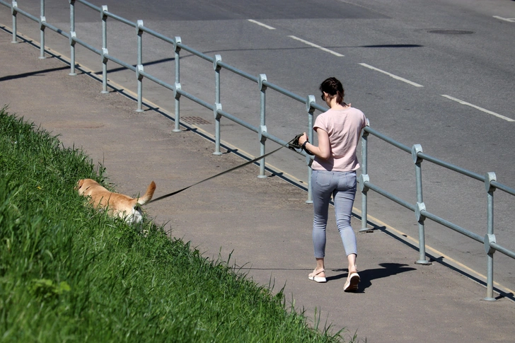 Ученые: дайте человеку тротуар, и он не заболеет диабетом