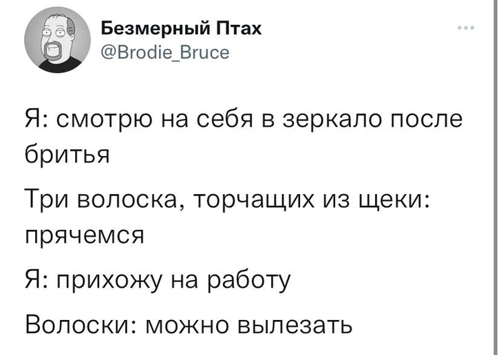 Шутки понедельника и «Подвинутые ветерком»