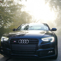 Аватарка Холостяк