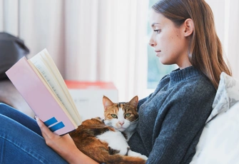 Кошка ложится на больное место: приметы о здоровье, у которых есть научные корни