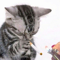 Аватарка лина