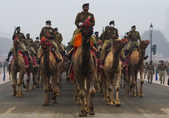 Верблюды участвуют в репетиции парада в Индии