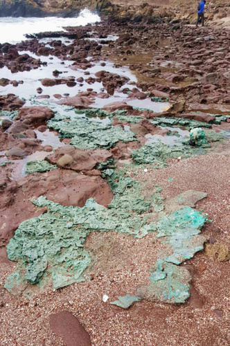 Посмотрите на пластиковые камни с необитаемого острова в Бразилии: они появились здесь из-за людей
