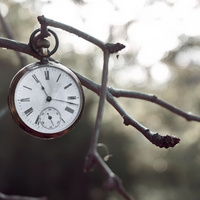 Аватарка Solomon