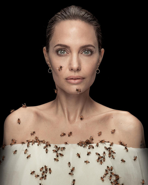 Анджелина Джоли фото, Джоли пчелы фото