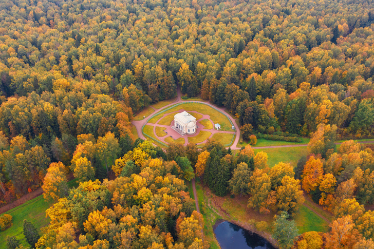 Багрец и золото: 6 парков России, которые непременно стоит посетить осенью
