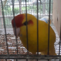 Аватарка Жанна