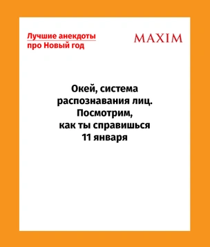 Лучшие анекдоты про Новый год и Деда Мороза