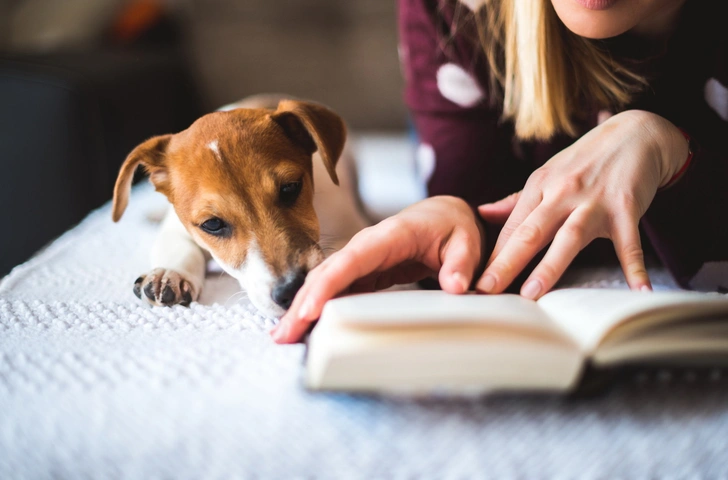 Список бестселлеров 2020 года, которые вы могли пропустить 